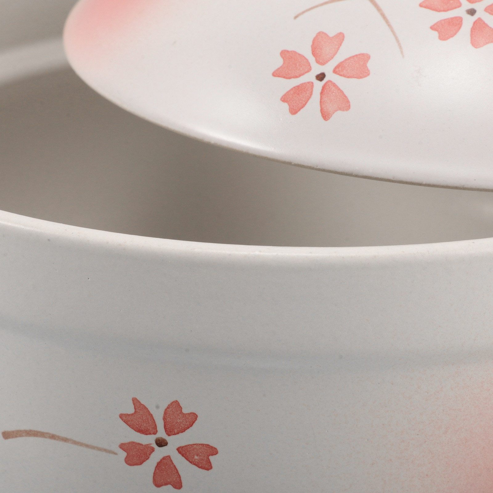 Clay Soup Pot with Lid Japanes - Home Cooking Asian 评论和价格